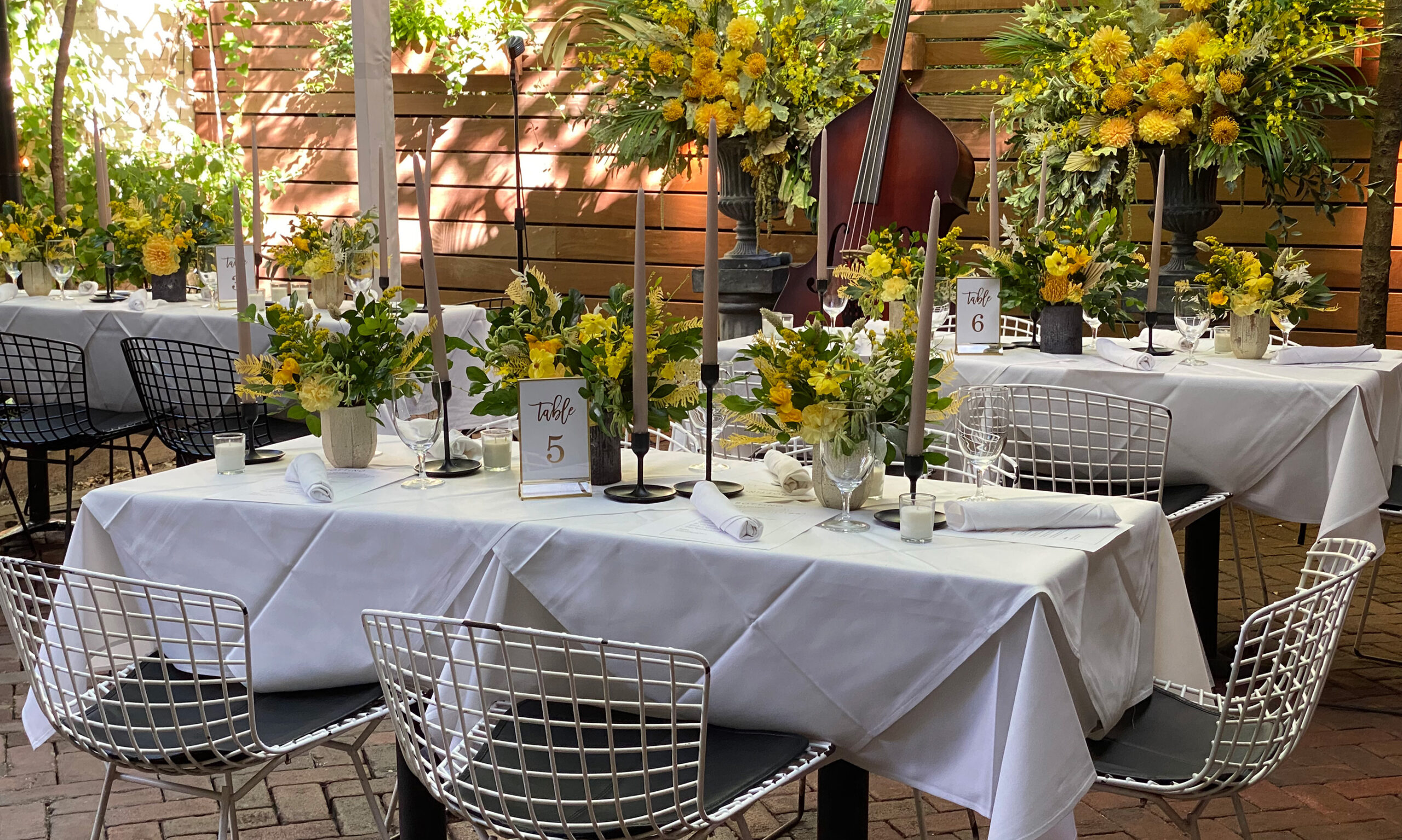 Image for Welcome to the Bottino Blog